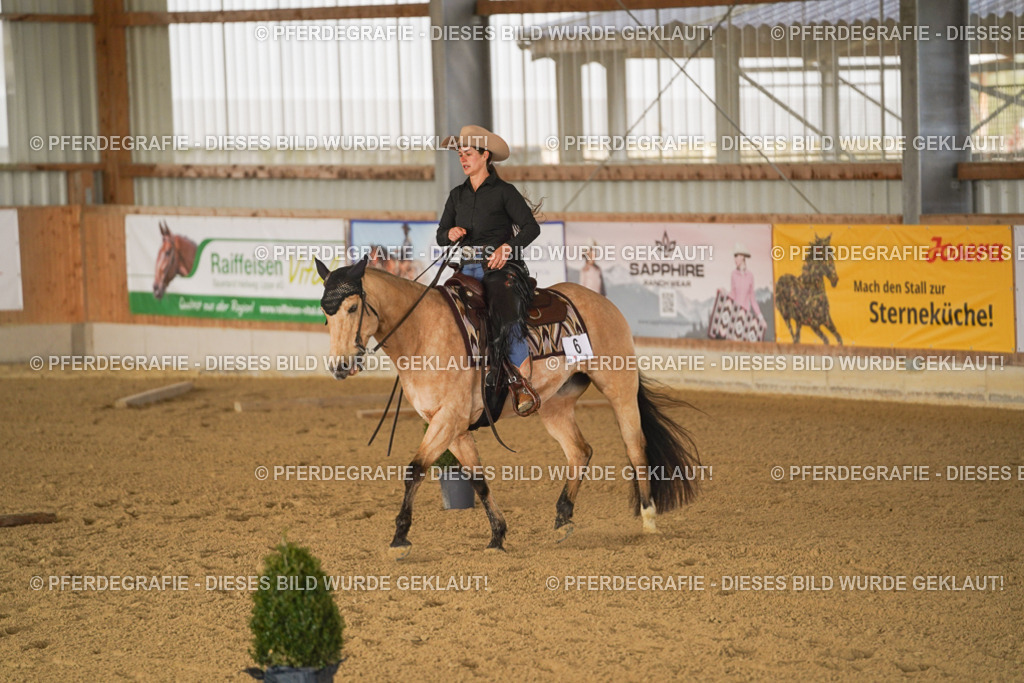 DSC01506 | Pferdegrafie