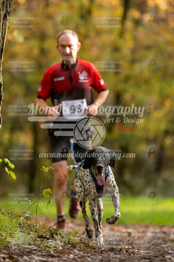 MompixPhotography_Bischwiller23_Canicross-51 | PayLife