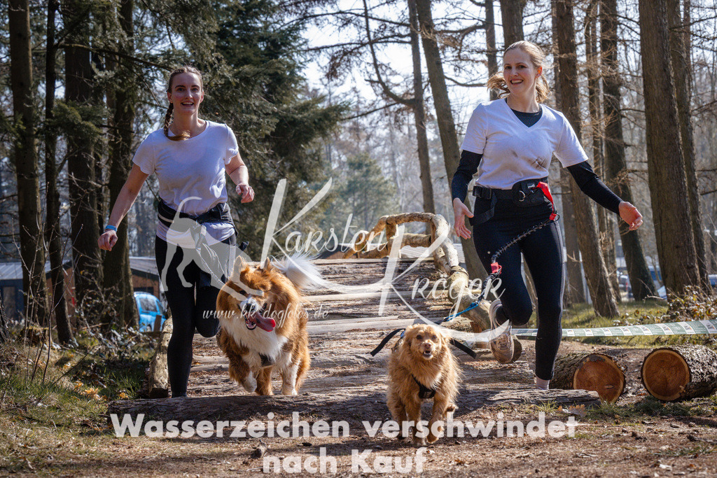 1354_ZZ96510 | kk-dogfotos