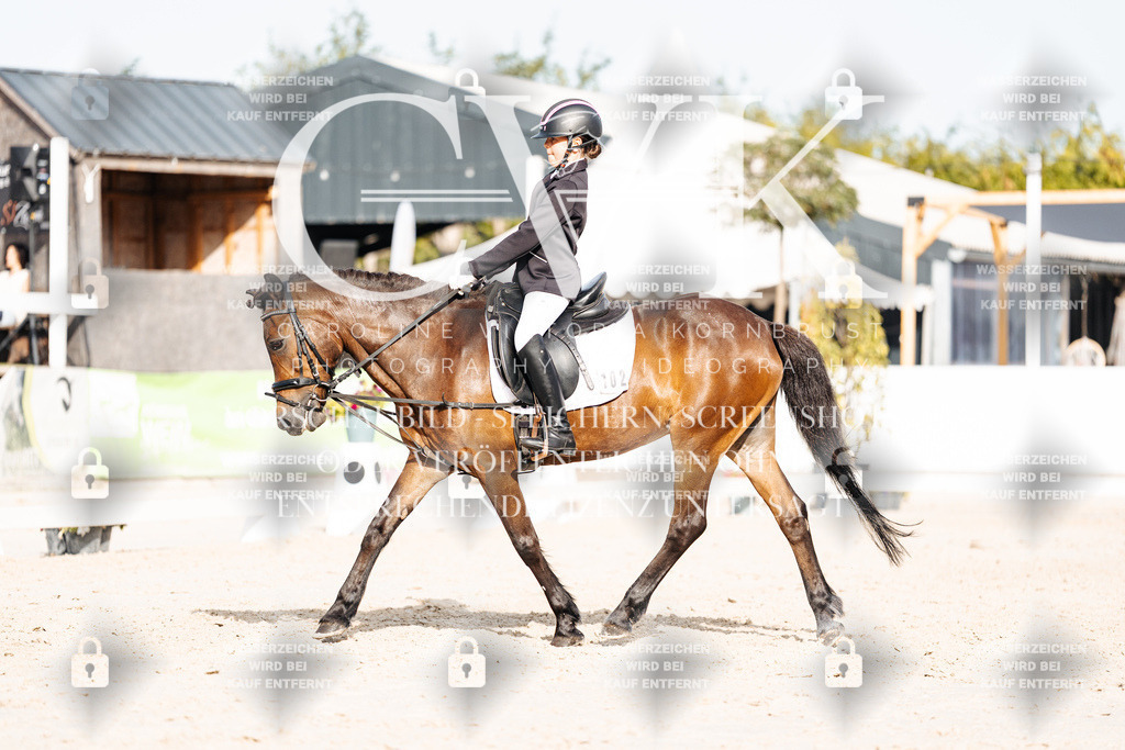 CK904841 | Turnierfotografie Pferdefotografie Trier Rheinland-Pfalz Pferdesport Reitsport Tierfotografie Sportfotografie Pferdevideo Pferdevideografie Equestrianvideography equestrianphotography  - Realisiert mit Pictrs.com