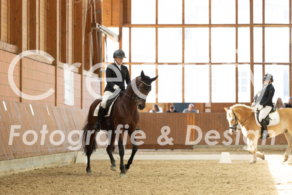 IMG_5445 | Creatify Fotografie