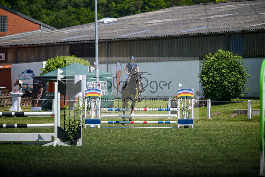 Reitturnier Voxtrup | Entdecke hochwertige Reitturnierfotos von Foto Oger. Professionell, emotional und authentisch – jetzt Lieblingsmomente im Shop bestellen. - Realisiert mit Pictrs.com