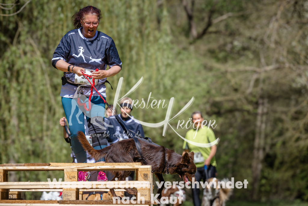 1226_ZZ91782 | kk-dogfotos