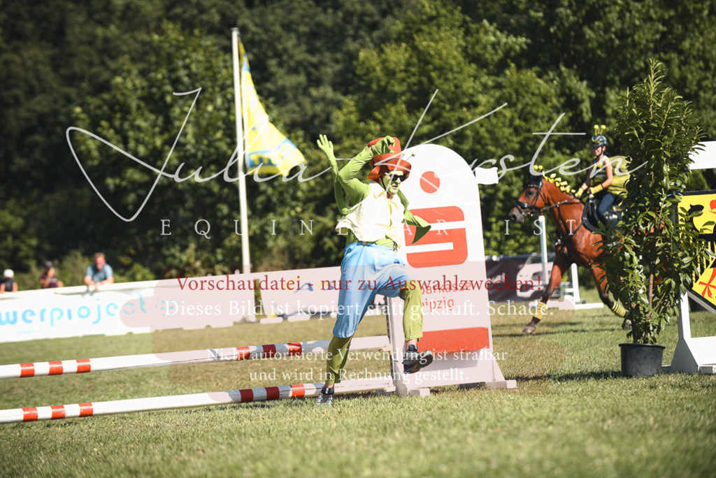 DSC_7495 | Pferde- und Turnierfotografie in Westsachsen. Pferdeportraits, Auftragszeichnungen und intuitive Kunst.