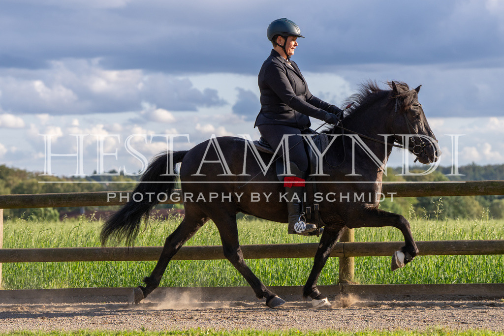 KAI09323 | Ihr sucht einen Fotografen für eure nächste OSI? Ich begleite auch euer Turnier für Islandpferde fotografisch.  - Realisiert mit Pictrs.com