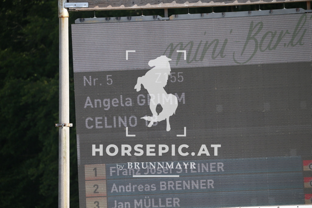 DL2Q5162 | Willkommen bei Brunnmayr - Design & Fotografie – Ihrem Spezialisten für Reitturniere und Pferdeveranstaltungen in Oberösterreich, Salzburg und Bayern! Seit über 17 Jahren sind wir leidenschaftlich dabei.