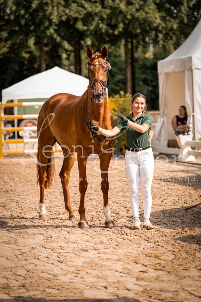 FrER00094 | Leoni Ertmer Photography - Realisiert mit Pictrs.com