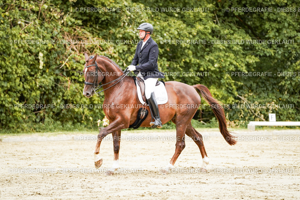 DSC03793 | Pferdegrafie