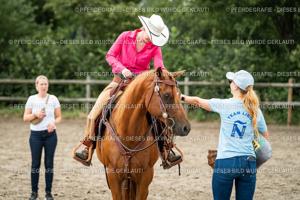 DSC03057 | Pferdegrafie