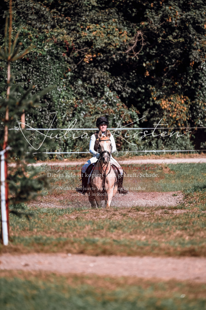 DSC_1131 | Pferde- und Turnierfotografie in Westsachsen. Pferdeportraits, Auftragszeichnungen und intuitive Kunst.