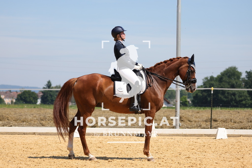 0P6A0352 | Willkommen bei Brunnmayr - Design & Fotografie – Ihrem Spezialisten für Reitturniere und Pferdeveranstaltungen in Oberösterreich, Salzburg und Bayern! Seit über 17 Jahren sind wir leidenschaftlich dabei.