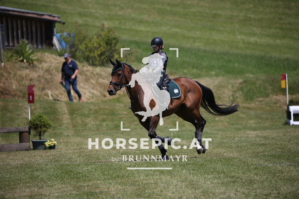 DL2Q1185 | Willkommen bei Brunnmayr - Design & Fotografie – Ihrem Spezialisten für Reitturniere und Pferdeveranstaltungen in Oberösterreich, Salzburg und Bayern! Seit über 17 Jahren sind wir leidenschaftlich dabei.