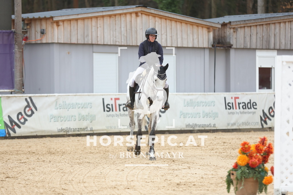 0P6A1114 | Willkommen bei Brunnmayr - Design & Fotografie – Ihrem Spezialisten für Reitturniere und Pferdeveranstaltungen in Oberösterreich, Salzburg und Bayern! Seit über 17 Jahren sind wir leidenschaftlich dabei.