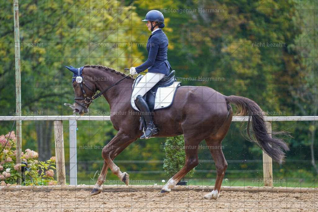 20221008-FAH01970 | Diessen am Ammersee, 2022, Dressur- und Springturnier, Reitsportbilder, Turnierfotografen Bayern, Pferdefotografen, Fotoagentur Herrmann, Turnierbilder