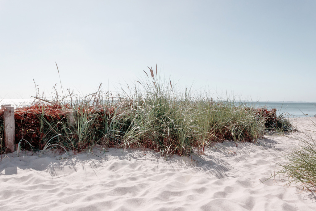 Wandbild: Frühling am Meer in dezenten Farben | Dieses Wandbild im Querformat zeigt einen traumhaften Sandstrand im Frühling. Im Vordergrund ist wunderschöner weißer Sand und grüner Strandhafer zu sehen. Der Himmel leuchtet in einem pastellartigen blau. Holen Sie sich dieses traumhafte Strandmotiv auf Leinwand, Aluminium-Platte oder Acrylglas. Ideal fürs Wohnzimmer, Schlafzimmer, Küche, den Arbeitsplatz oder die Ferienwohnung.   - Realisiert mit Pictrs.com