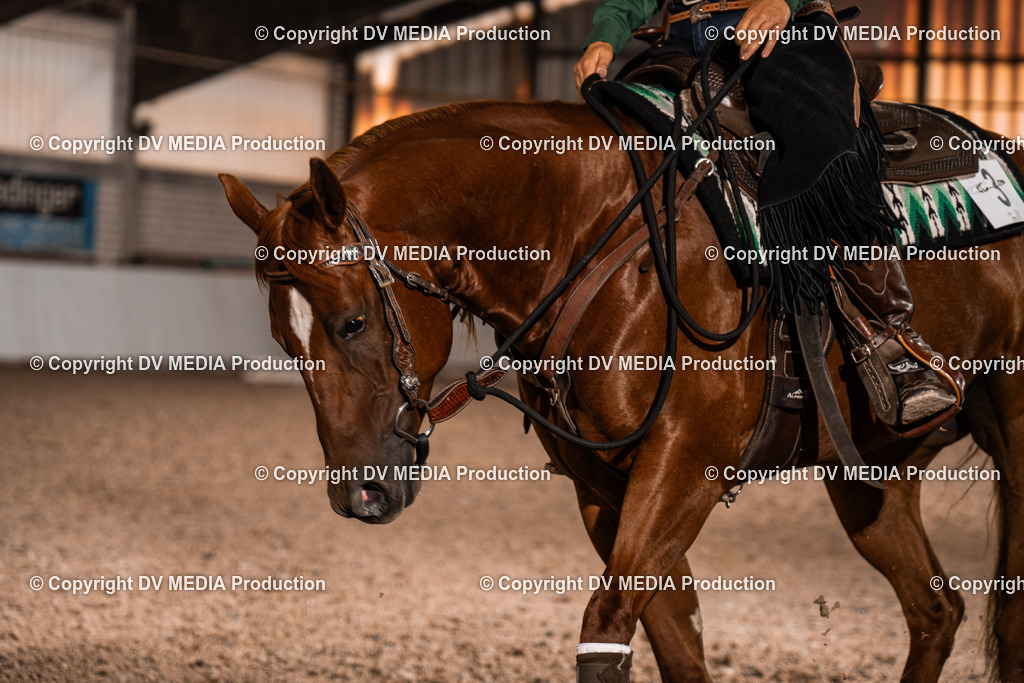 ZH300317 | dv-media-shop - Realisiert mit Pictrs.com