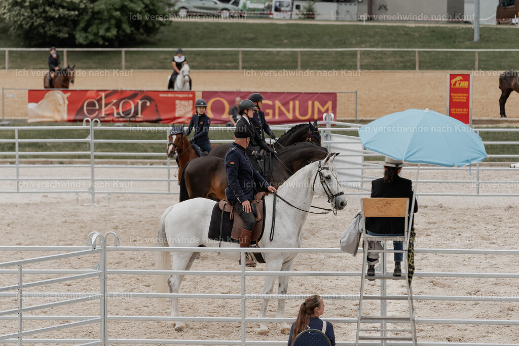 WE__Stoib_Rinder_PI2025_3112 | Pferd International München 2025