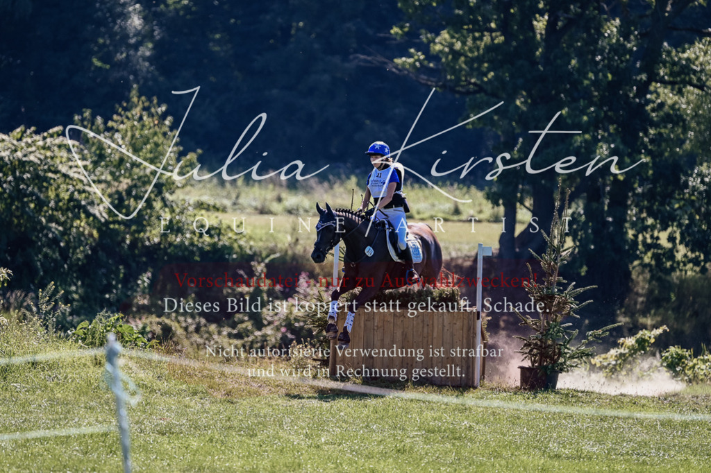 DSC_1671 | Pferde- und Turnierfotografie in Westsachsen. Pferdeportraits, Auftragszeichnungen und intuitive Kunst.
