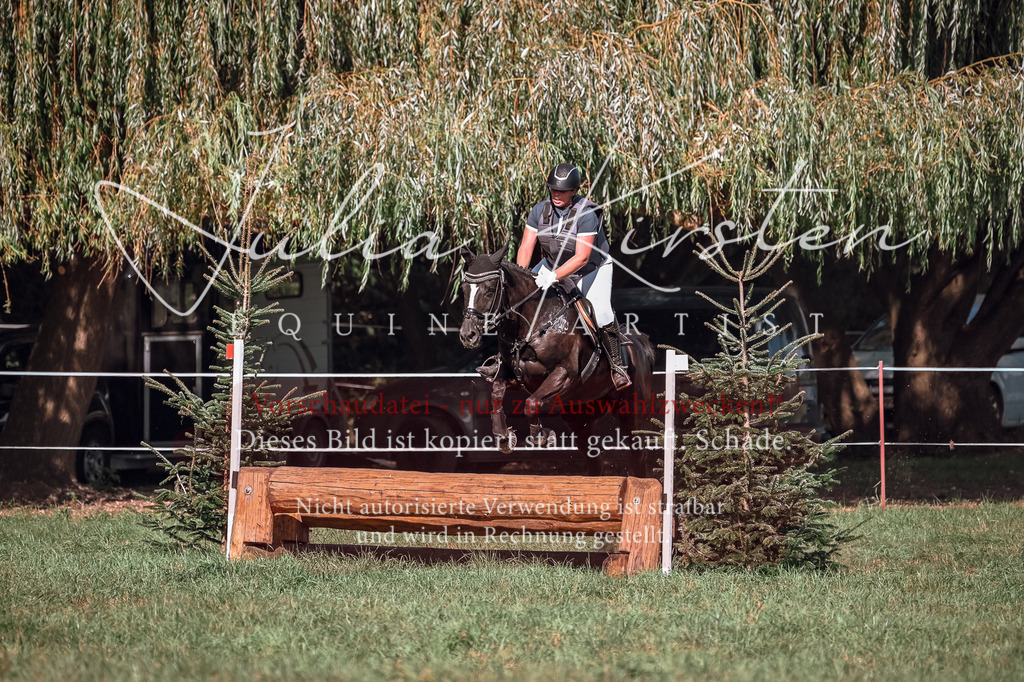 DSC_3337 | Pferde- und Turnierfotografie in Westsachsen. Pferdeportraits, Auftragszeichnungen und intuitive Kunst.