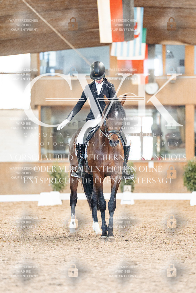 CK908523 | Turnierfotografie Pferdefotografie Trier Rheinland-Pfalz Pferdesport Reitsport Tierfotografie Sportfotografie Pferdevideo Pferdevideografie Equestrianvideography equestrianphotography  - Realisiert mit Pictrs.com