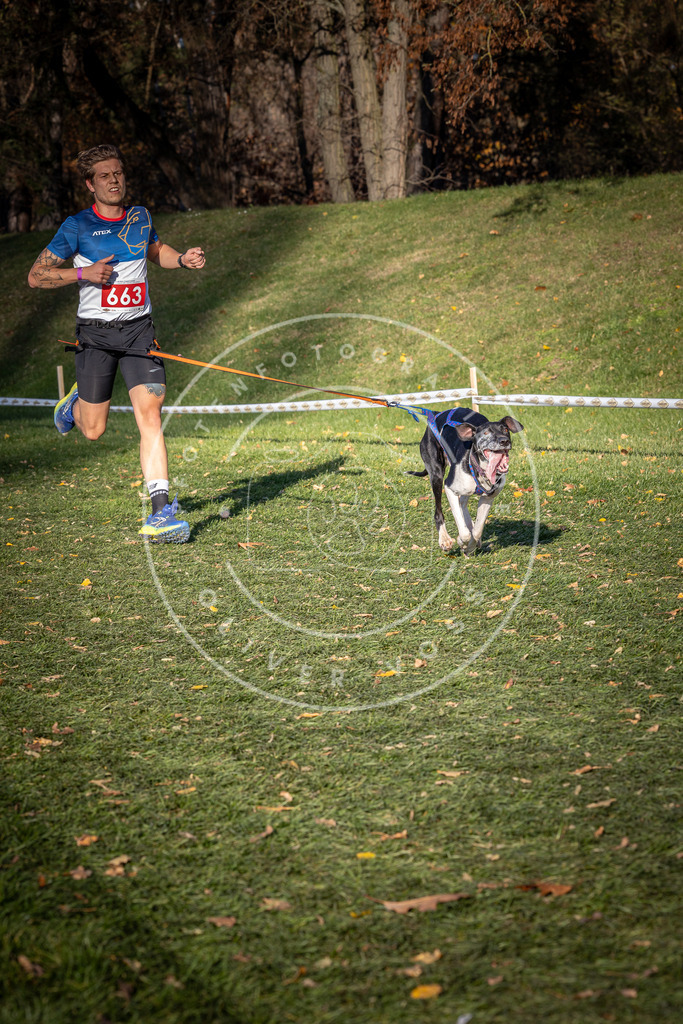 CaniXpix_0L8A9162 | Hundefotografie, Tierfotograf, Pfotenfotografie, Fotoshooting Hund, Hunde Portrait, Hundesport, Hundeportraits, Heideshooting, Hunde, Sportfotograf, Hundefotograf, Turnierhundsport, THS,  - Realisiert mit Pictrs.com
