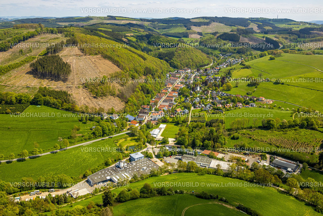 Sundern230505048 | Luftbild, Ortsansicht Hagen, Wohnsiedlung Hagener Straße, Waldgebiet mit Waldschäden,  Hagen, Sundern, Sauerland, Nordrhein-Westfalen, Deutschland