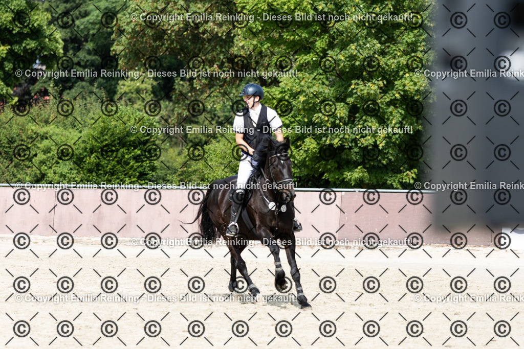 CL5A4414 | Emilia Reinking Fotografie - Realisiert mit Pictrs.com