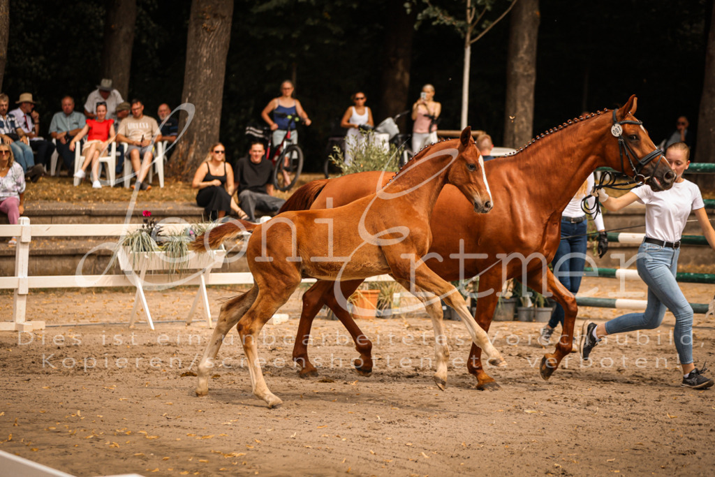 SaPA00105 | Leoni Ertmer Photography - Realisiert mit Pictrs.com