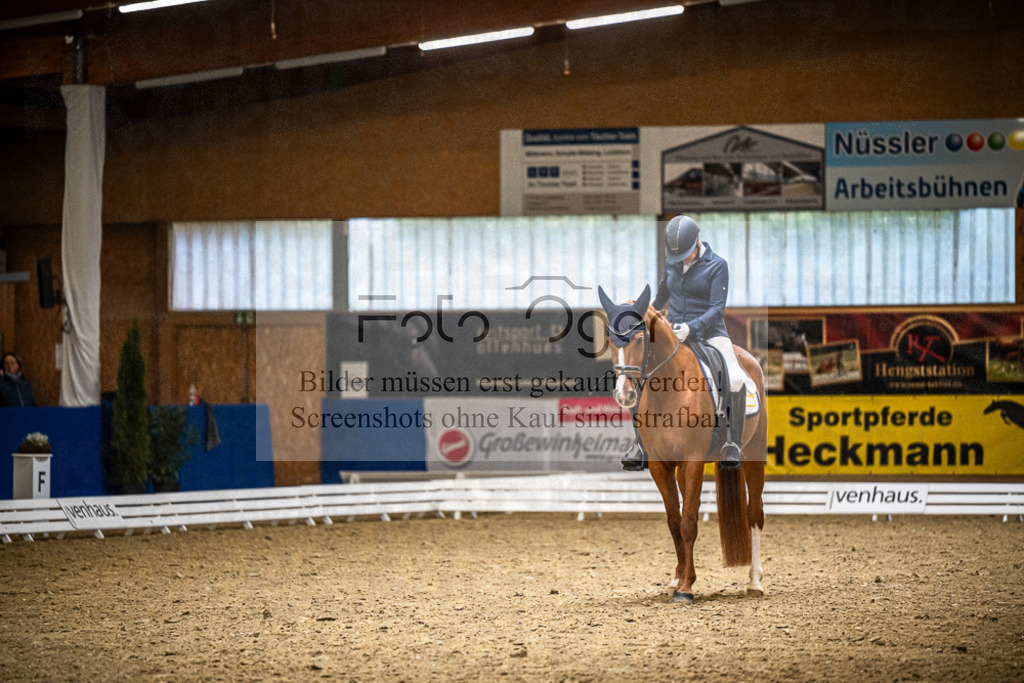 DOS_1770 | Entdecke hochwertige Reitturnierfotos von Foto Oger. Professionell, emotional und authentisch – jetzt Lieblingsmomente im Shop bestellen.Deutschlandweite Turnierfotografie. - Realisiert mit Pictrs.com