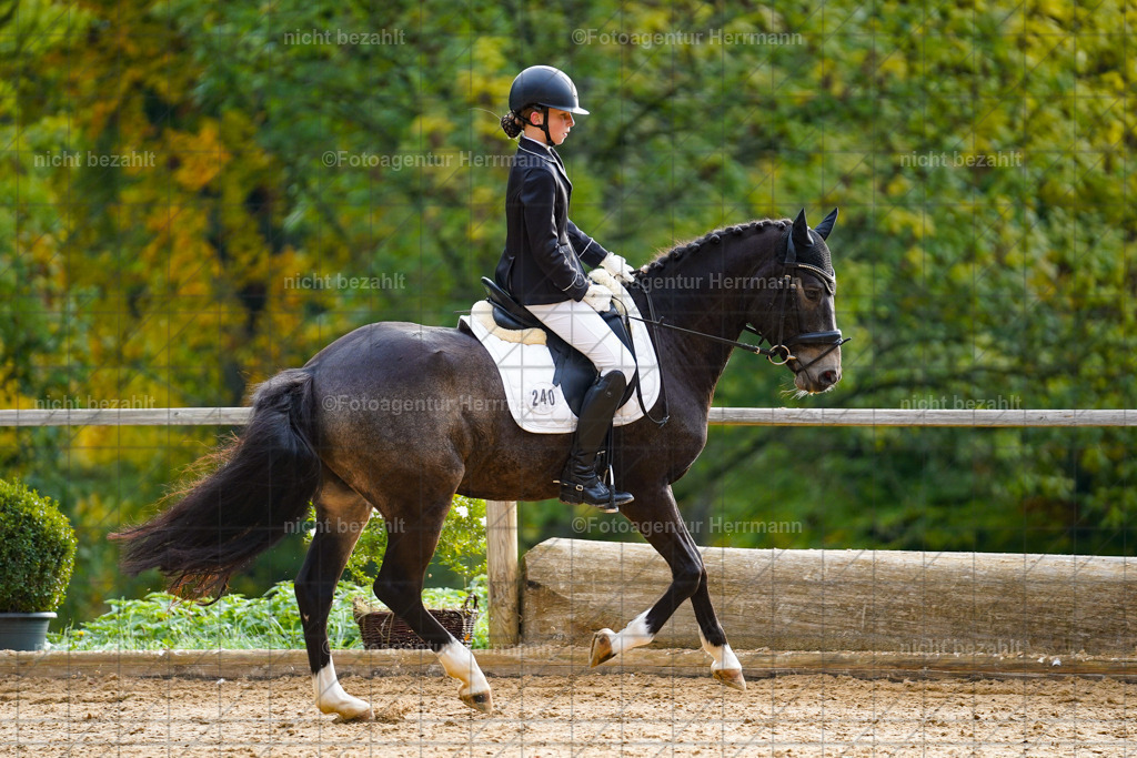 20221008-FAH00781 | Diessen am Ammersee, 2022, Dressur- und Springturnier, Reitsportbilder, Turnierfotografen Bayern, Pferdefotografen, Fotoagentur Herrmann, Turnierbilder