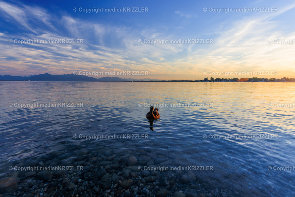 _J3A8450 | medienkrizzler - Realisiert mit Pictrs.com