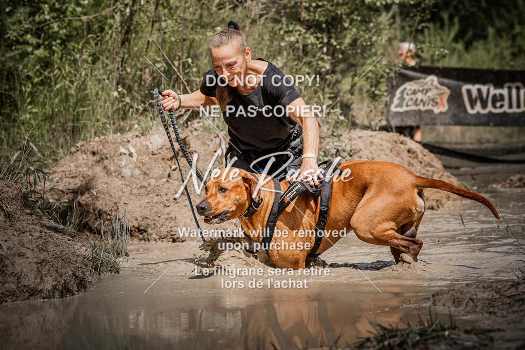 nelerasche_Hoope2026_Sa1200-1230_290 | nelerasche