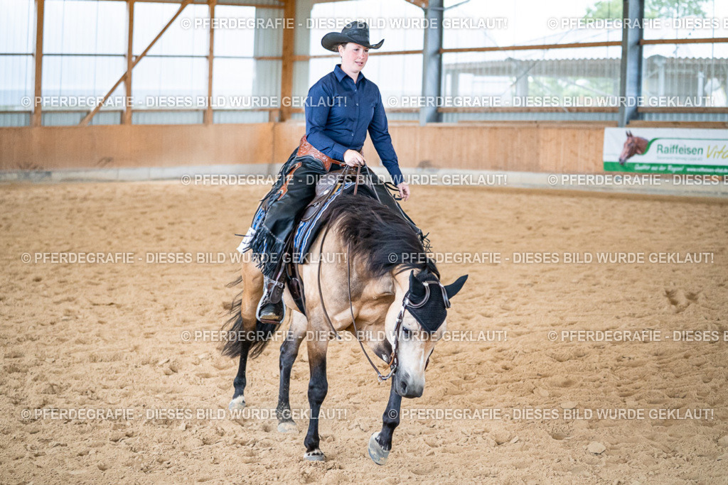 DSC03417 | Pferdegrafie