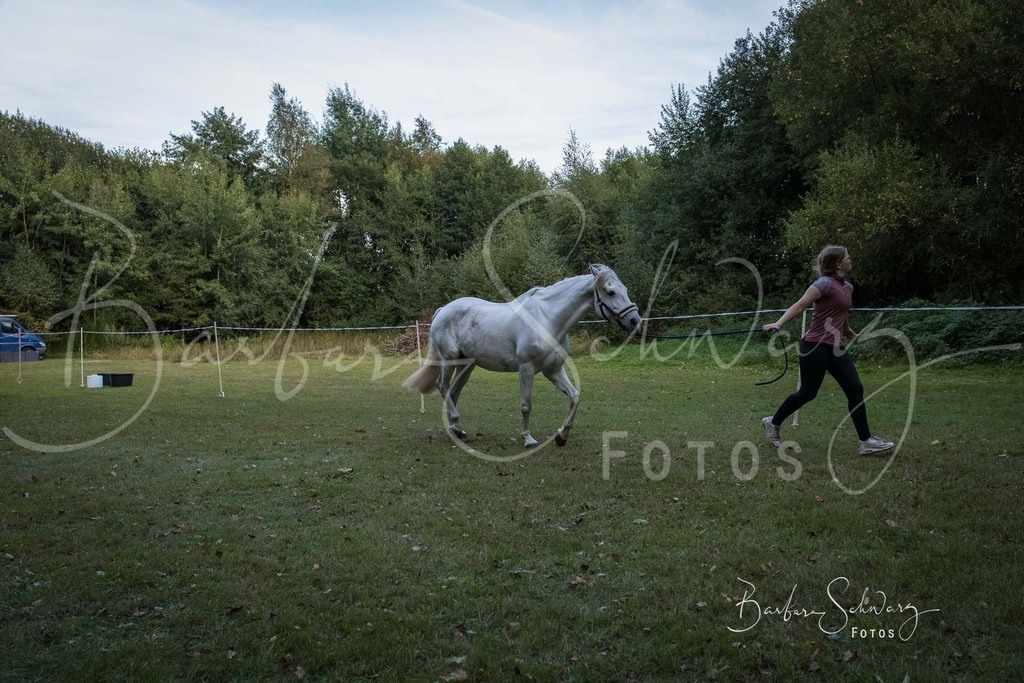 DdLH-NU_2025-09-20_67 | Fotografie, Veranstaltungs-Fotografie, Pferde-Fotografie, Landschafts-Fotografie, Reise-Fotografie - Realisiert mit Pictrs.com