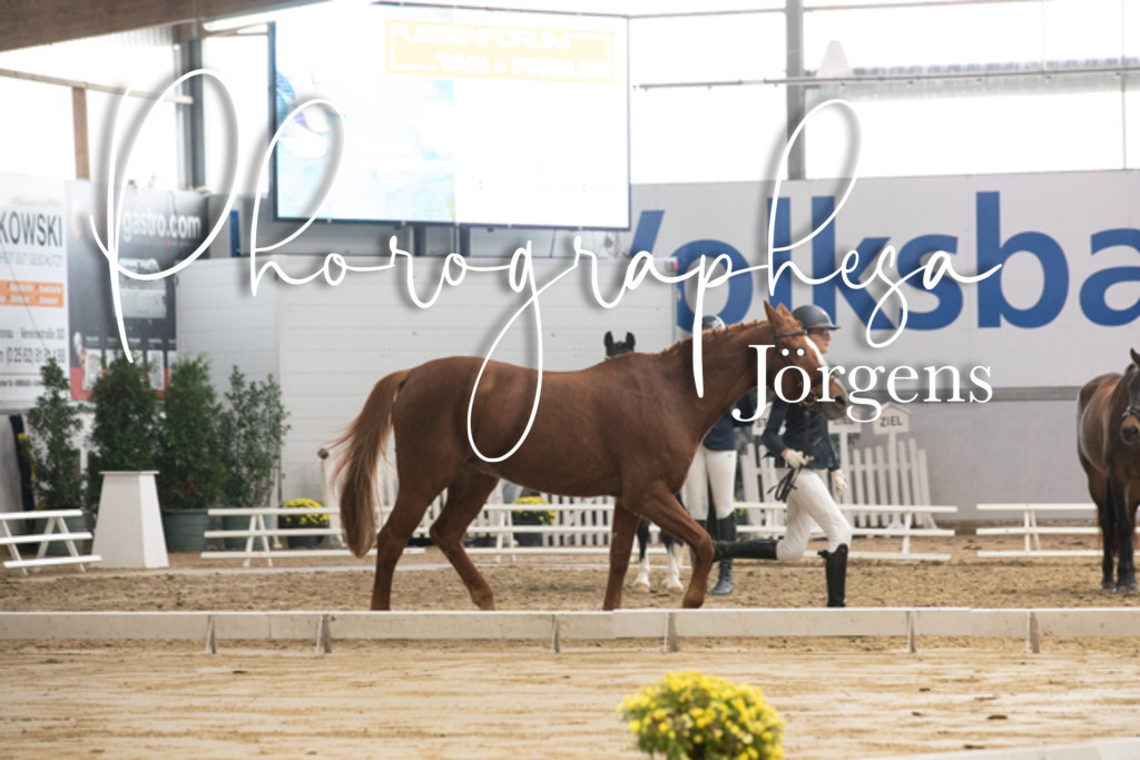 IMG_7584 | photographesa-joergens - Realisiert mit Pictrs.com