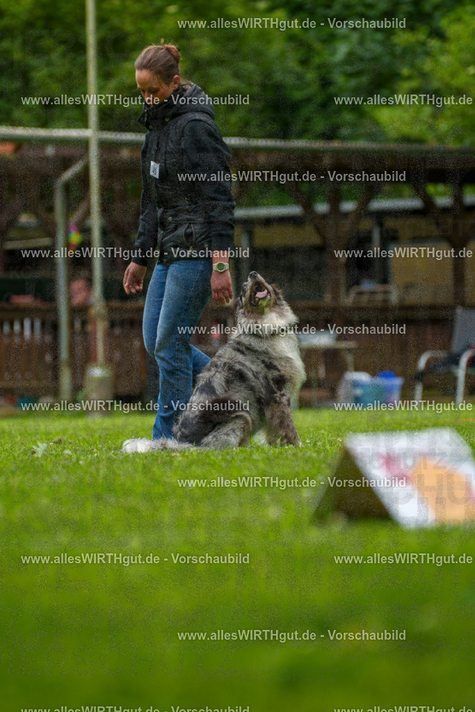 @allesWIRTHgut_Tierfotografie - www.allesWIRTHgut.de - 7R500306 | Professionelle Tierfotografie in Mönchengladbach von Daniel Wirth (allesWIRTHgut). Liebevolle & natürliche Bilder von Hunden & Katzen für unvergessliche Erinnerungen.