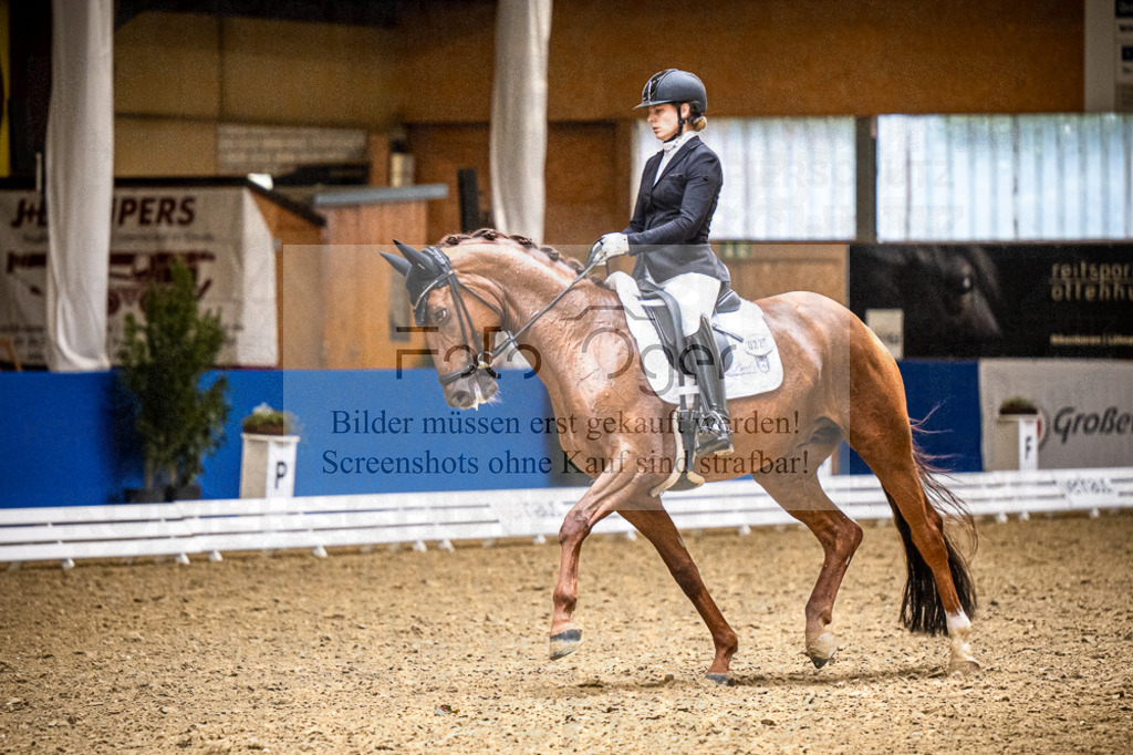 DOS_0947 | Entdecke hochwertige Reitturnierfotos von Foto Oger. Professionell, emotional und authentisch – jetzt Lieblingsmomente im Shop bestellen.Deutschlandweite Turnierfotografie. - Realisiert mit Pictrs.com