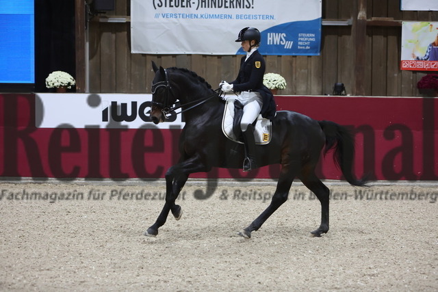 Reutlingen_2024_Prfg.Nr.04_Intermediaire I_Kür_Louisa Reisch_Bandol 3 (12) | Alle Fotos der Reiterjournal Fotografin Doris Matthaes im Reiterjournal Online-Fotoshop. - Realisiert mit Pictrs.com