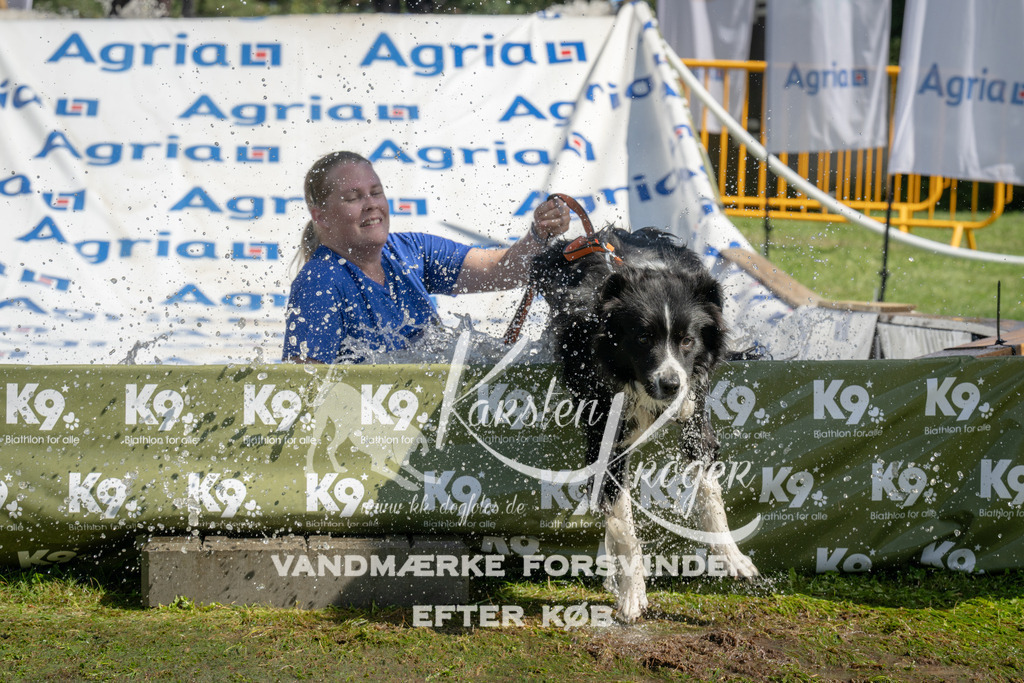 1221_ZZ96229 | kk-dogfotos