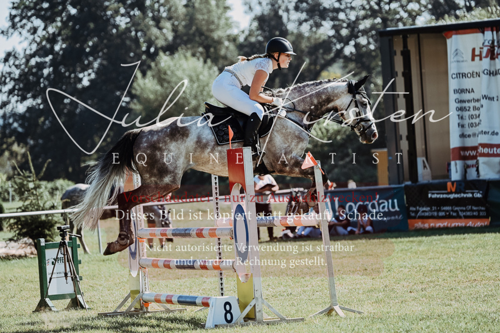 DSC_5527 | Pferde- und Turnierfotografie in Westsachsen. Pferdeportraits, Auftragszeichnungen und intuitive Kunst.