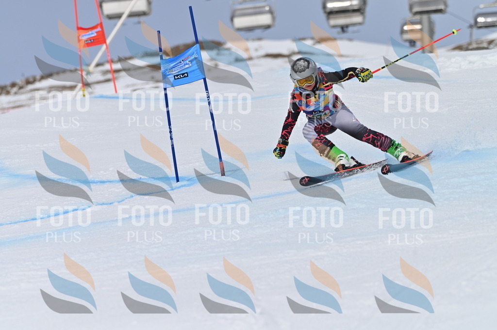 BGV_5370 | holidayphoto