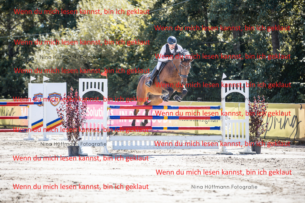 BK1A6688 | Turnierbilder Turnierfotos Nina Hüffmann Turnierfotografie Pferdefotografie Tierzeichnung Haustierzeichnung Pferdezeichnung Hundezeichnung Videograf  - Realisiert mit Pictrs.com