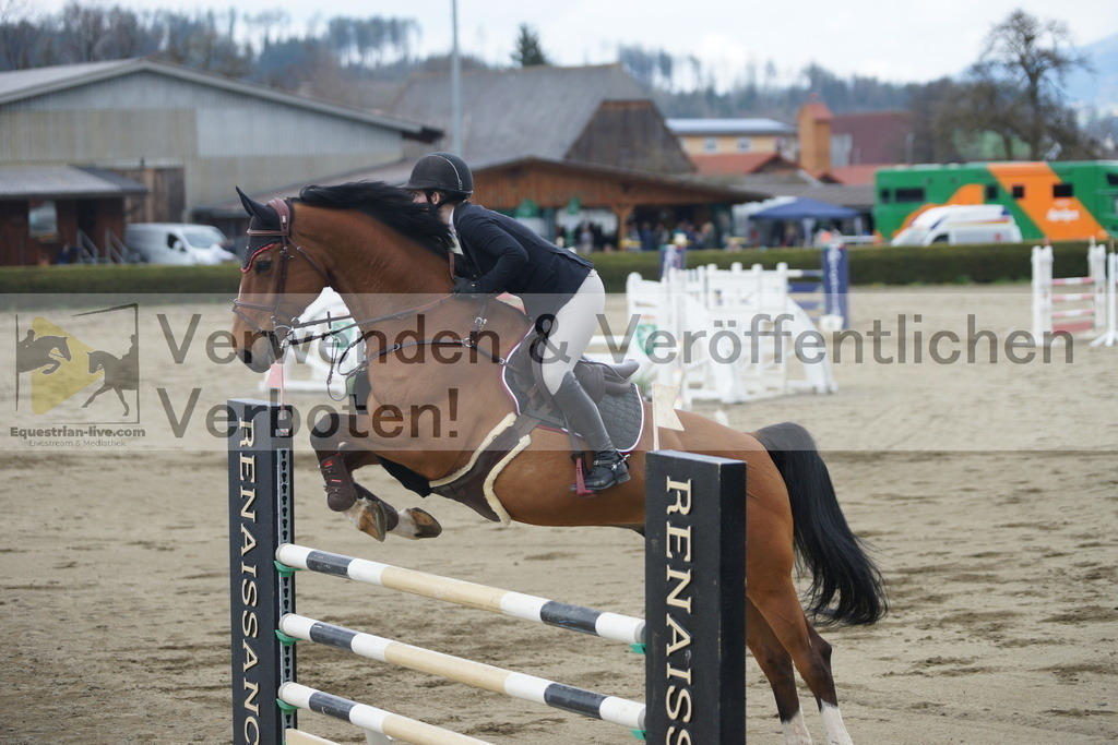 DSC01528 | equestrian-live-com