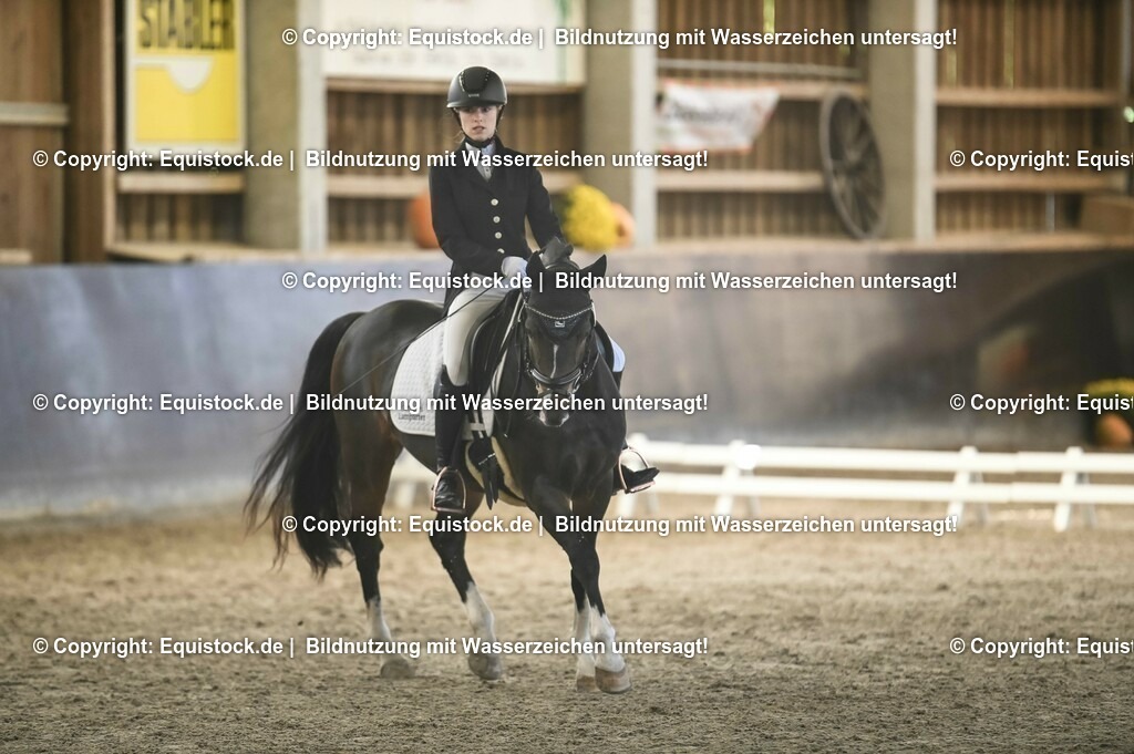 02_Dressurreiter_A_0541 | Foto: Thomas Hartig