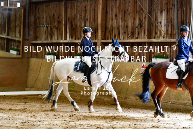 _DSC6901 | larahueckfotografie