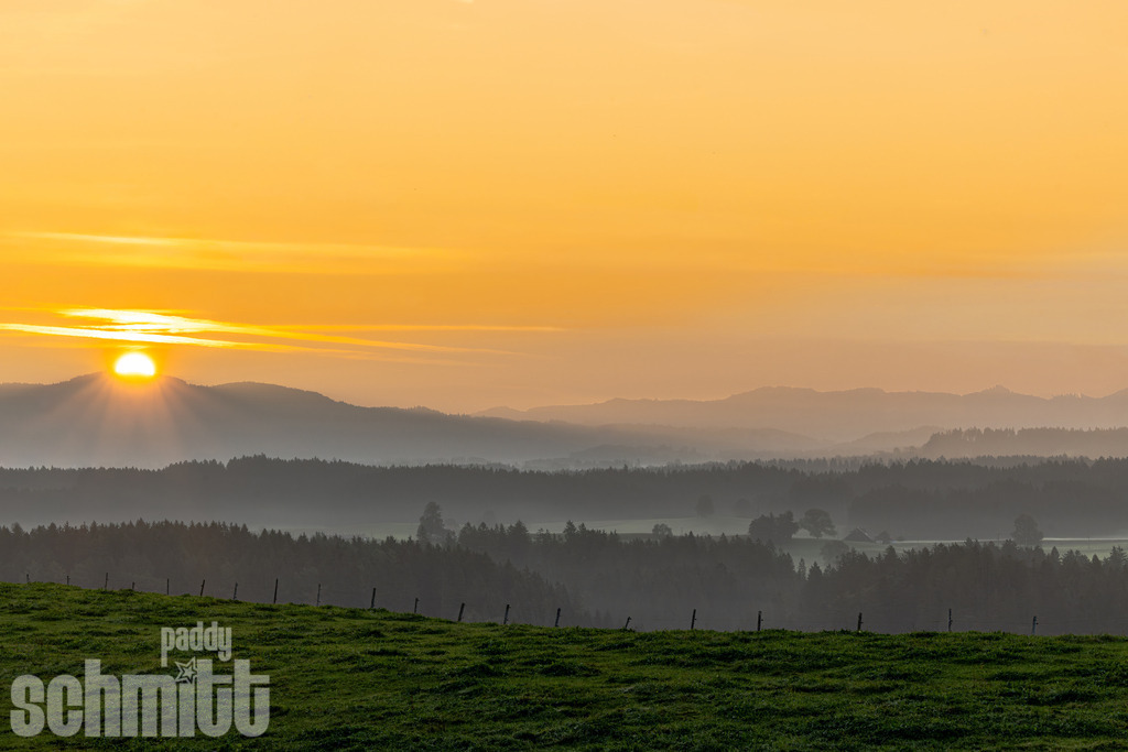 Sonnenaufgang bei der Adelegg im Morgennebel | Stimmungsvoller Sonnenaufgang bei der Adelegg, während sanfter Morgennebel über der Landschaft liegt und die ersten Sonnenstrahlen die Hügel in warmes Licht tauchen. Eine ruhige und natürliche Aufnahme mit besonderer Morgenstimmung. - Realisiert mit Pictrs.com