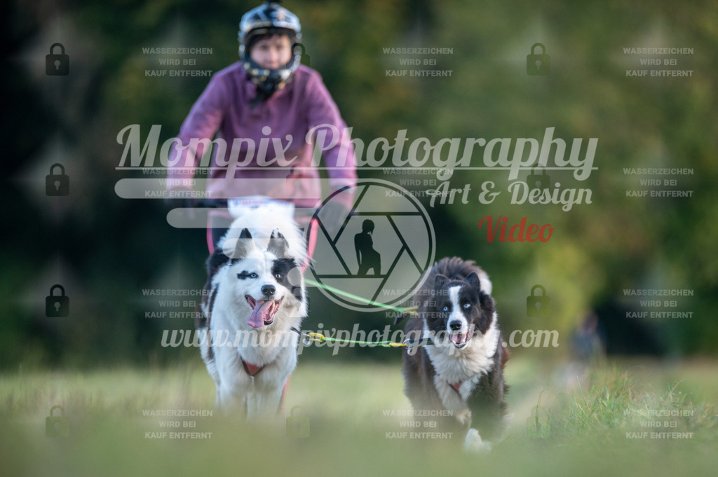 CDLBDB_15_10_2023_Dimanche-75 | PayLife