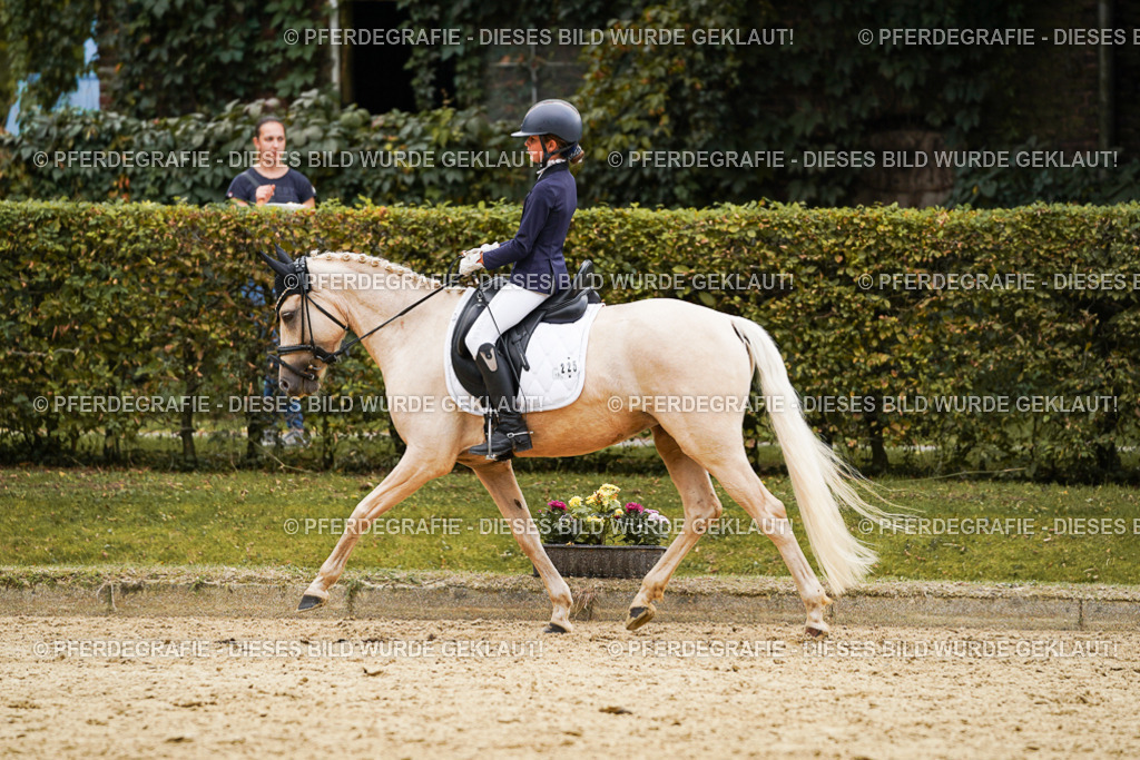 DSC00522 | Pferdegrafie