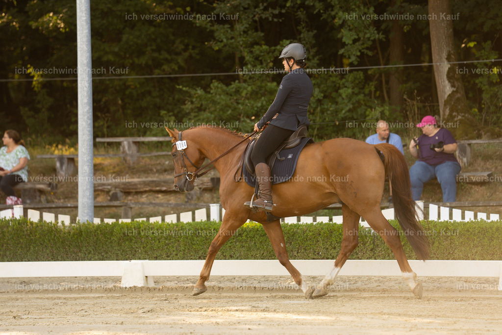 WA_DR_64_SinaFilmArt_IN09987 | working equitationturnier fotograf videograf stoibphotography marixx film working equitation deutschland reitsport turnierfotografie eventfotografie equestrian events