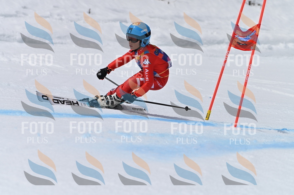 BGV_5838 | holidayphoto